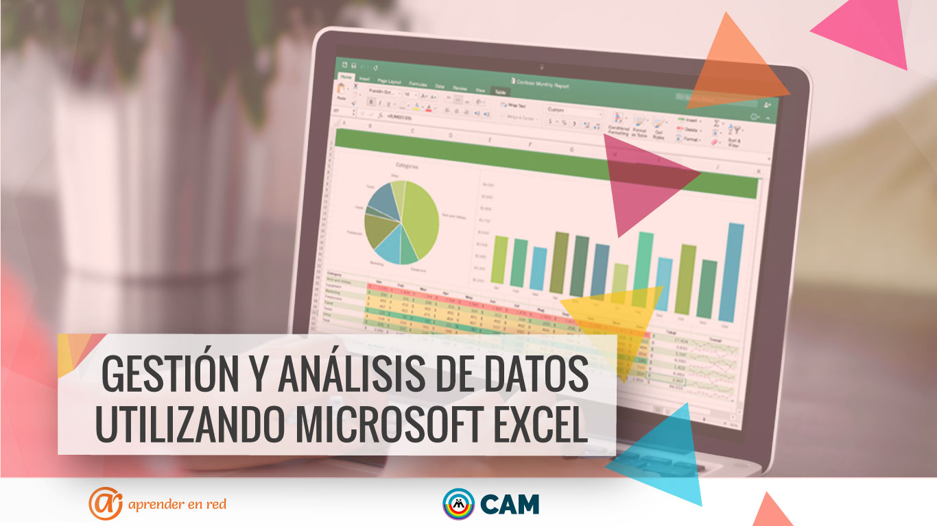 Gestión y análisis de datos utilizando Microsoft Excel – Aprender En Red